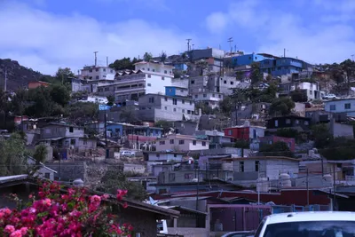 DSC_1019 (Large).JPG